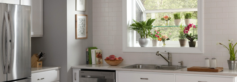 home window box with garden